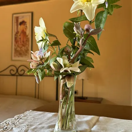 Soiano Famiglia Rolfini Farm stay Montaione