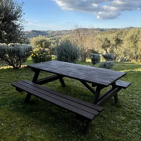 Soiano Famiglia Rolfini Montaione