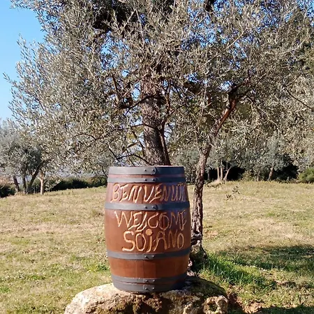 בית חווה Soiano Famiglia Rolfini *