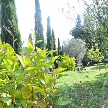 Soiano Famiglia Rolfini Montaione